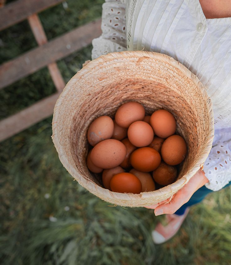 Hero Nuestro Producto